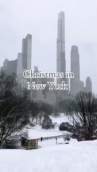 Christmas new York ❤❤   #newyork #newyorkcity #newyorktravel #usa🇺🇸 #christmas #christmastree #christmascountdown #winter #wintervibes #travel #travellife #traveltips #traveling #travelbucketlist #travelling #traveldiaries