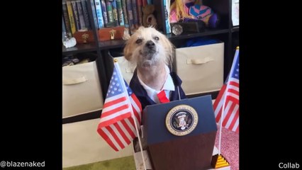 Getting Banned from the Mall in 3 Seconds  | best funny videos