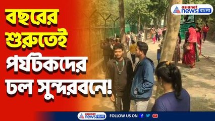 বছরের শুরুতেই পর্যটকদের ঢল সুন্দরবনে! খুশির আমেজ চারিদিকে