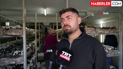Gümüşhane'de Genç Girişimci Mantar Üretimiyle Fark Yaratıyor