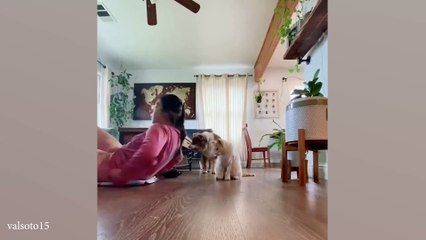 Cats behave naturally 😹 Funny Cats Videos