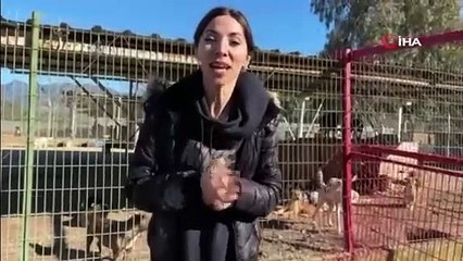 “Barınaktan Okullara Sevimli Dost” projesi kabul edildi