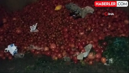 Pazarcılardan Domates İsyanı: Vatandaş İsyan Etti