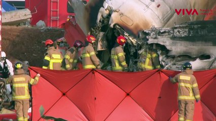 Posisi Kursi Pesawat Ini 'Paling Aman' dari Kematian