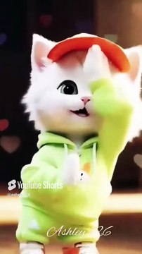 cat🐯💲 #cat #catlover #funny #youtube #animals @ashley126