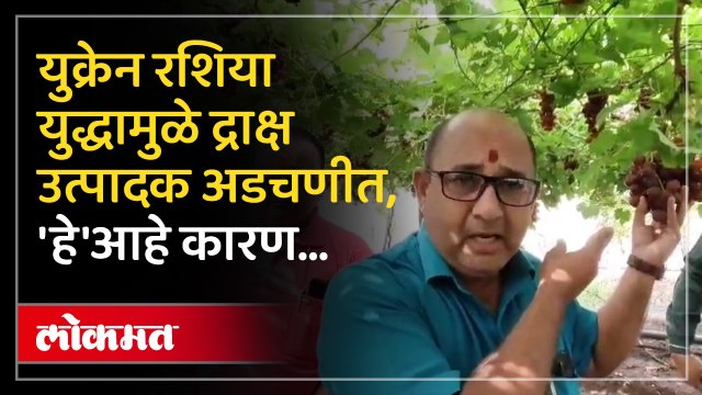 रशिया युक्तीमुळे कोट्यावधीची उलाढाल ठप्प द्राक्ष उत्पादक अडचणीत..