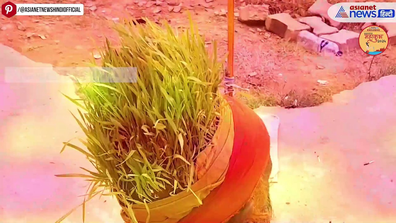 Mahakumbh 2025 में पहुंचे 'अनाज वाले बाबा', अनूठे हठयोग के पीछे है बड़ा कारण