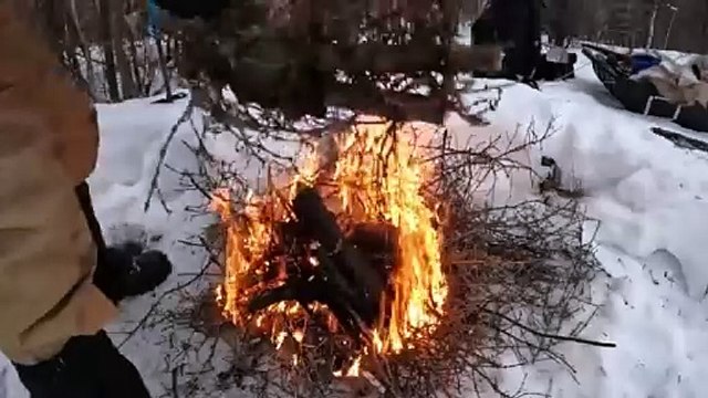 Winter Camping in Snow Storm with Survival Shelter & Bushcraft Cot.WinterCamping #SnowStorm #Surviva