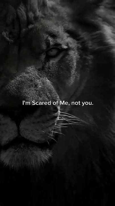 I am Scared of Me not you || Always Build your Innerself Beast and Disciplined #motivation #motivationalquotes #motivationalvideo #millionaire #millionairemindset #success #mindset