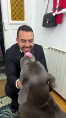 Diogo Alexandre: Profile & Achievements