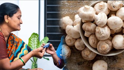 Is Mushroom Good For Diabetic Patient: डायबिटीज में मशरूम खाना चाहिए या नहीं | Boldsky