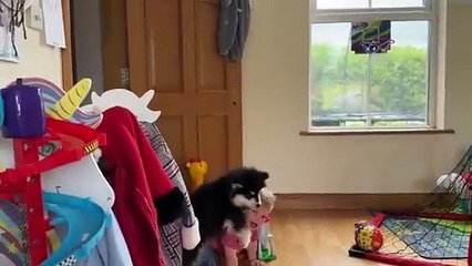 Adorable Baby Boy And Malamute Puppy Are Inseparable! (Cutest Ever!!)