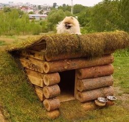 Embrace nature! Big outdoor crafts to fully enjoy fresh air!