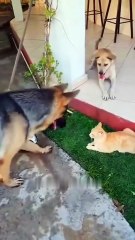 Tale as Old as Time: The Ultimate War!