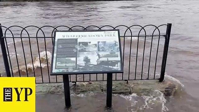 River Wharfe New Year’s Day in Otley and Ilkley: New Year's Day swim