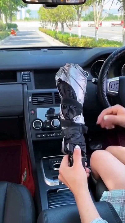 mp41
