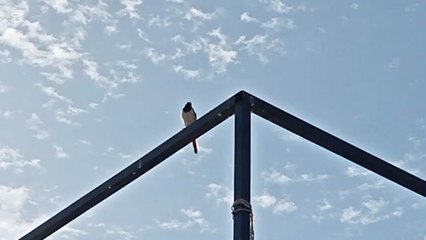 LOVE NATURE ... THANKS GOD FOR BLESSINGS. CARE & SERVE MAKHLOOQEKHUDA.