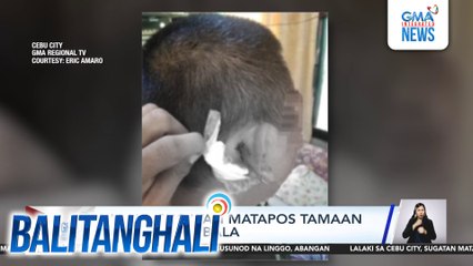 Lalaki, sugatan matapos tamaan ng ligaw na bala | Balitanghali