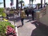 Cannes 08 title mp4 Test1