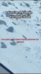 Videoda Nuri Bilge Ceylan filmlerinin havası var
