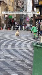 Bursa’da sokak köpeği ile eğlenceli vakit geçiren temizlik görevlisi 😊
