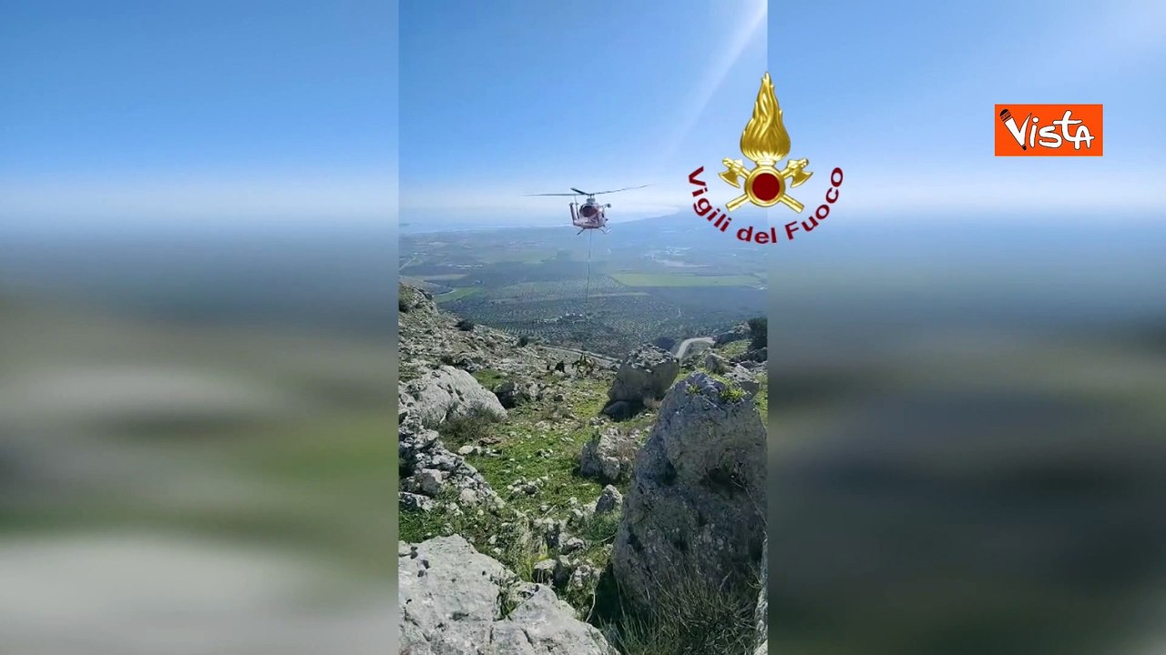 Vigili del Fuoco recuperano con elicottero una mucca caduta in un crepaccio a Manfredonia