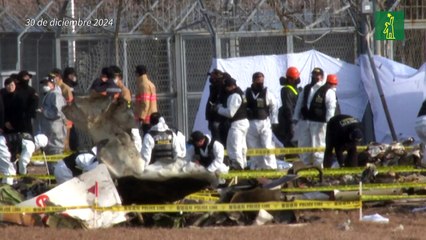 Corea del Sur envía a Estados Unidos una caja negra del avión accidentado