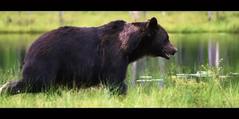 Tales.of.the.Walking.Dead.S01E04.720p.BluRay.DD5.1.x264.HUN.ENG-PTHD