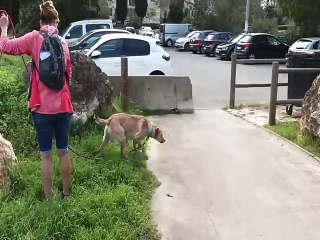 baïko promenade du jour