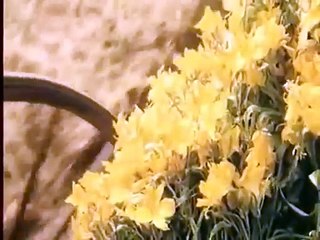 Les soeurs Brontë (1979) - Bande annonce