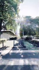 Plus le combat est difficile plus la victoire est belle #motivation #conseils