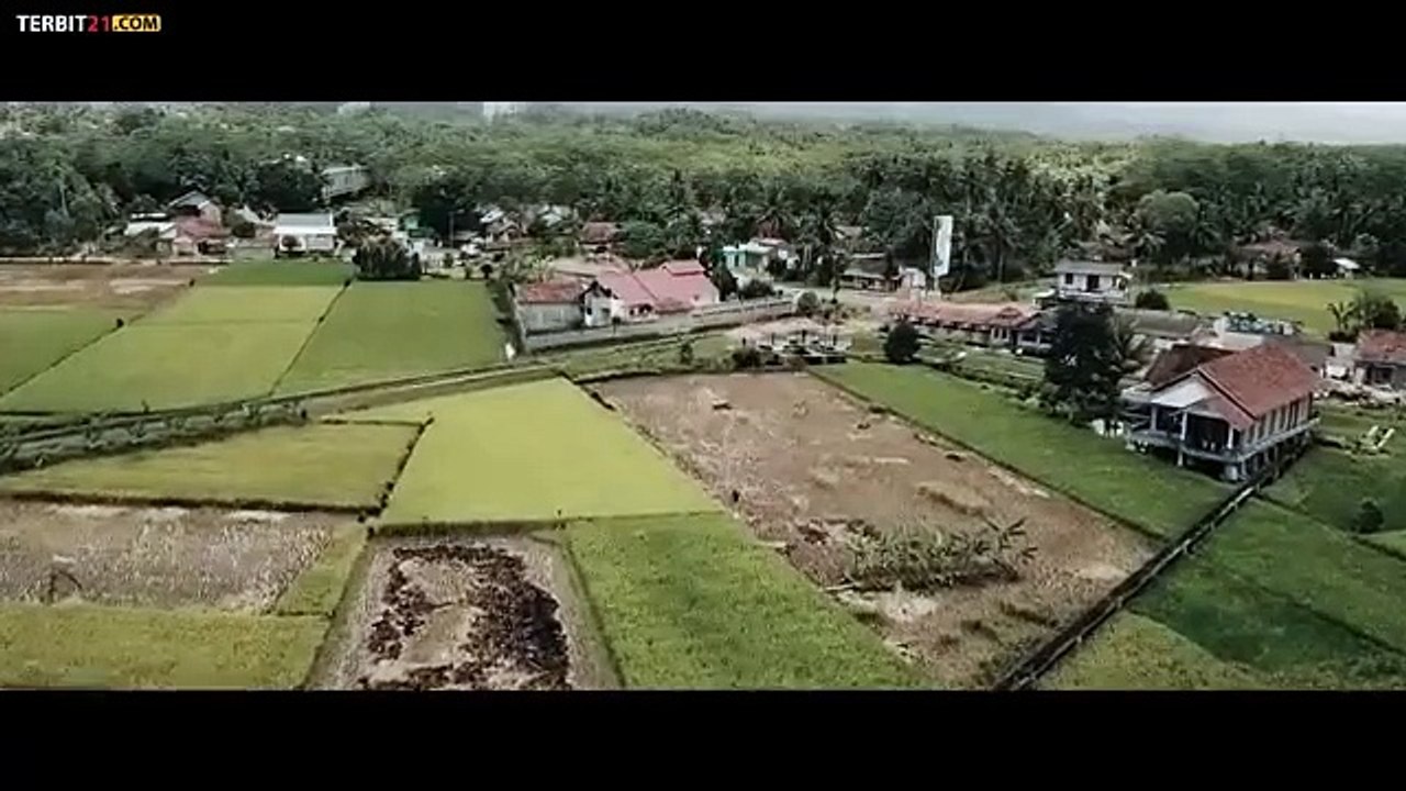 Alas Pati - Hutan Mati (2018)