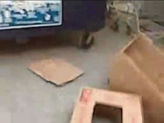 Glass Toss Smash video