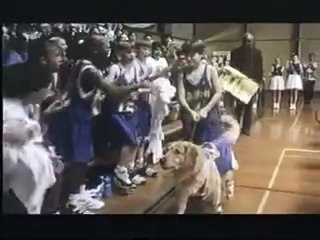 Air Bud (1997) - Bande annonce
