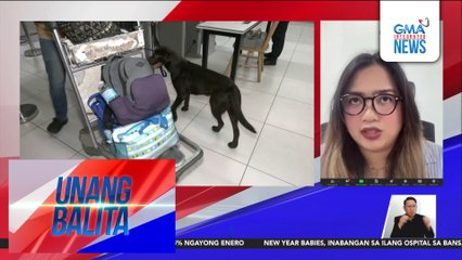 Panayam kay Kolyn Calbasa, Senior Corporate Affairs Officer, PITX | Unang Balita