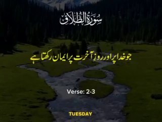اللہ تعالٰی کا ارشاد مبارک قرآن مجید میں