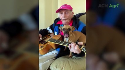 Loveable country-comedy larrikin Chad Morgan has died aged 91