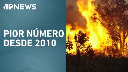 Brasil registra 278 mil focos de incêndio em 2024, segundo INPE