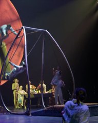 Cirque Du Soleil's LUZIA | Video | Newcastle Herald
