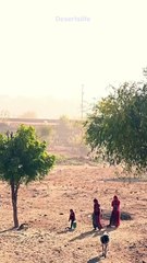 Rajasthan ki Subah #rajasthanlife #villagelife #shorts