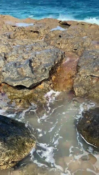 Beachside Rock Pool