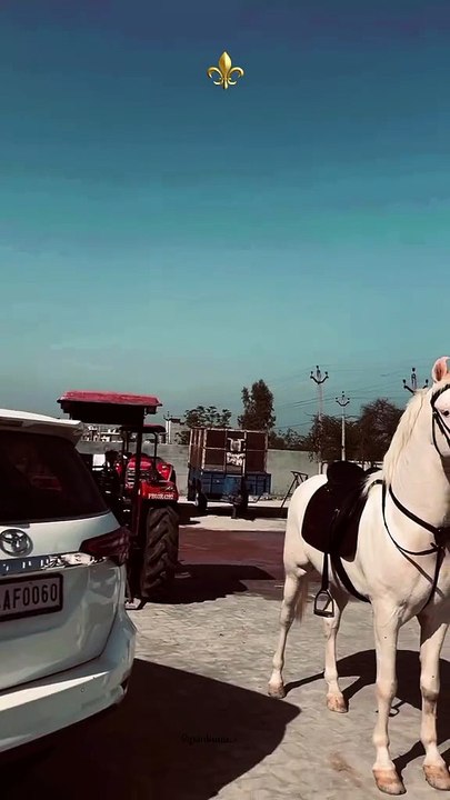 Horse🐎🐎lovers