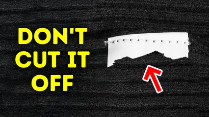 100+ Cool Random Facts You Won’t Discover in a Quick Search