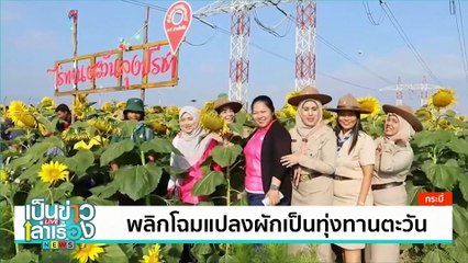 ดื่มกาแฟยามเช้าที่อ่าวย่านาง ชมนกนางนวลที่ดอนหอยหลอด | เป็นข่าวเล่าเรื่อง | 2 ม.ค. 68 | PART 2