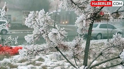 Ardahan'da Sibirya Soğukları: Araçlar Çalışmadı, Ağaçlar Kırağı Tuttu
