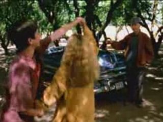 The Dust Factory (2004)