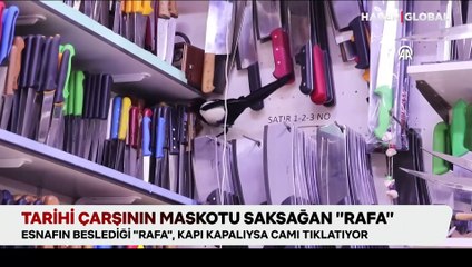 Tarihi çarşının maskotu saksağan "Rafa"