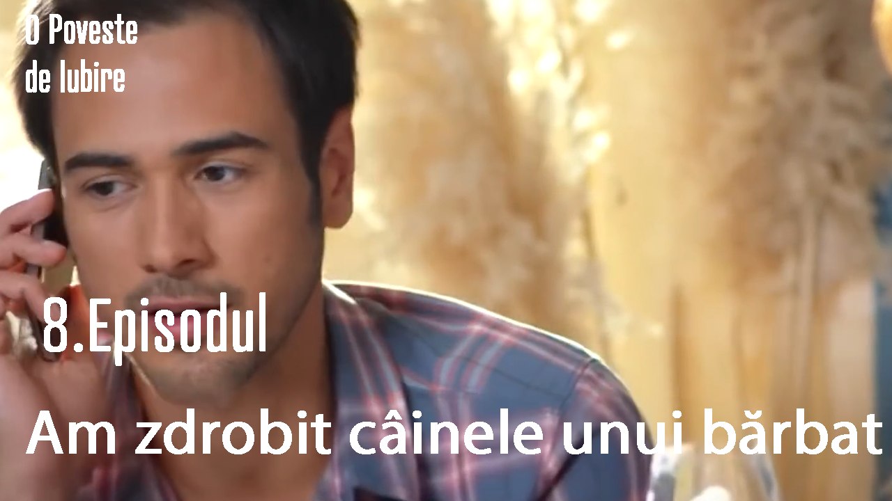 Am zdrobit câinele unui bărbat - O Poveste de Lubire