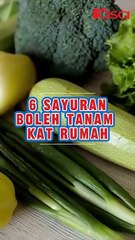 6 Jenis Sayur Boleh Tanam Di Rumah