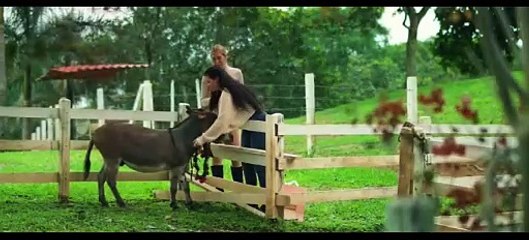 Una Navidad sin nieve - Tráiler oficial español